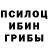 Псилоцибиновые грибы Magic Shrooms Katrina Kodirova