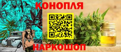 спиды Гусев