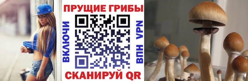 Галлюциногенные грибы ЛСД  Чита 