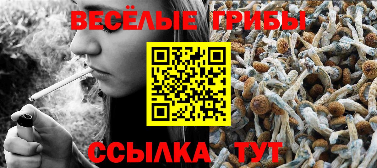 Гашиш Чита