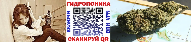 МАРИХУАНА THC 21% где найти наркотики Чита